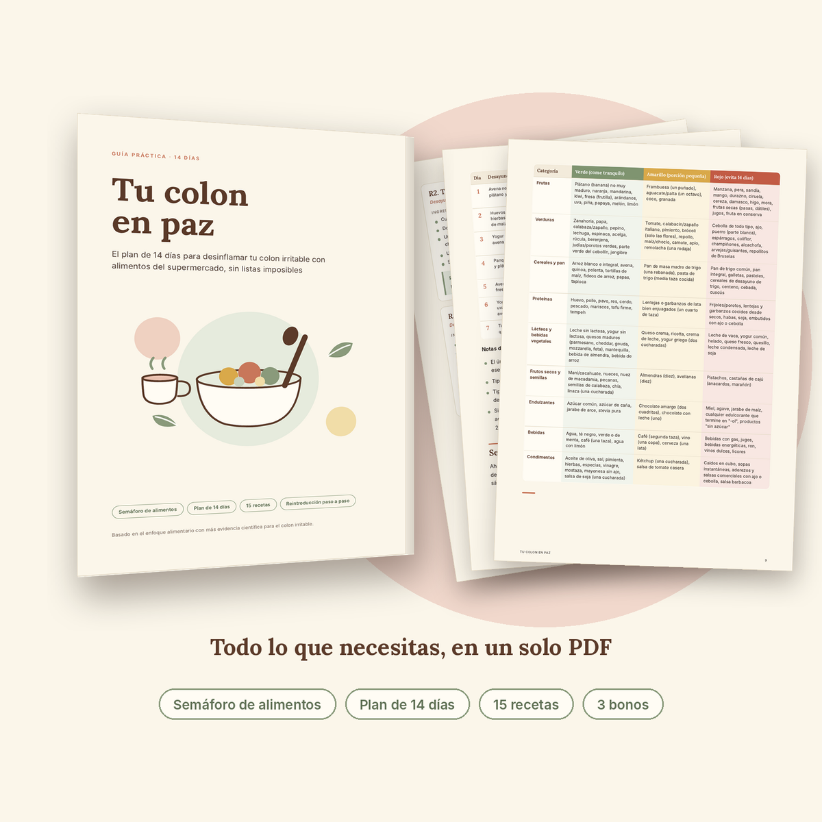 Adiós Hinchazón en 14 Días – Tu colon en paz (Ebook + 3 bonos)