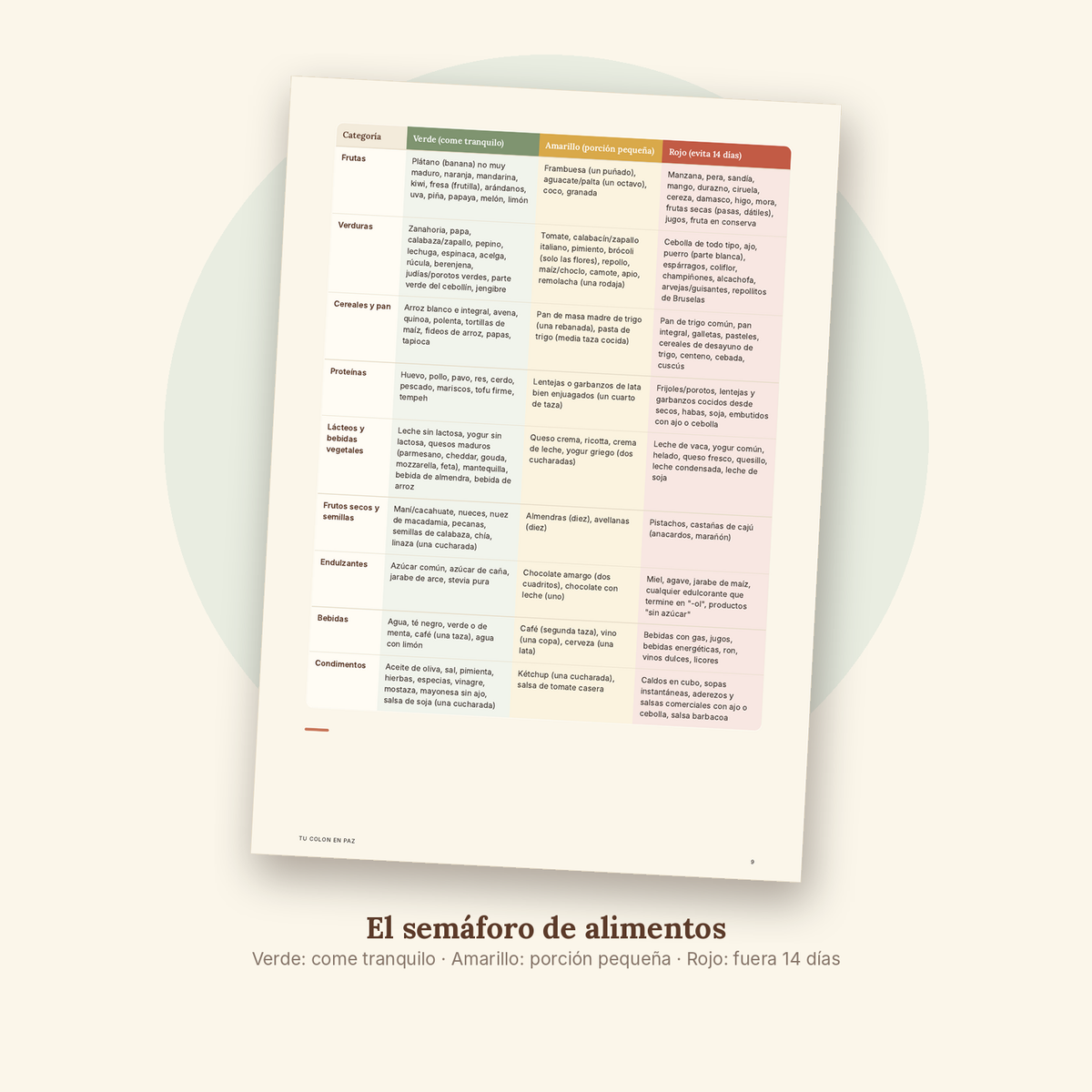 Adiós Hinchazón en 14 Días – Tu colon en paz (Ebook + 3 bonos)