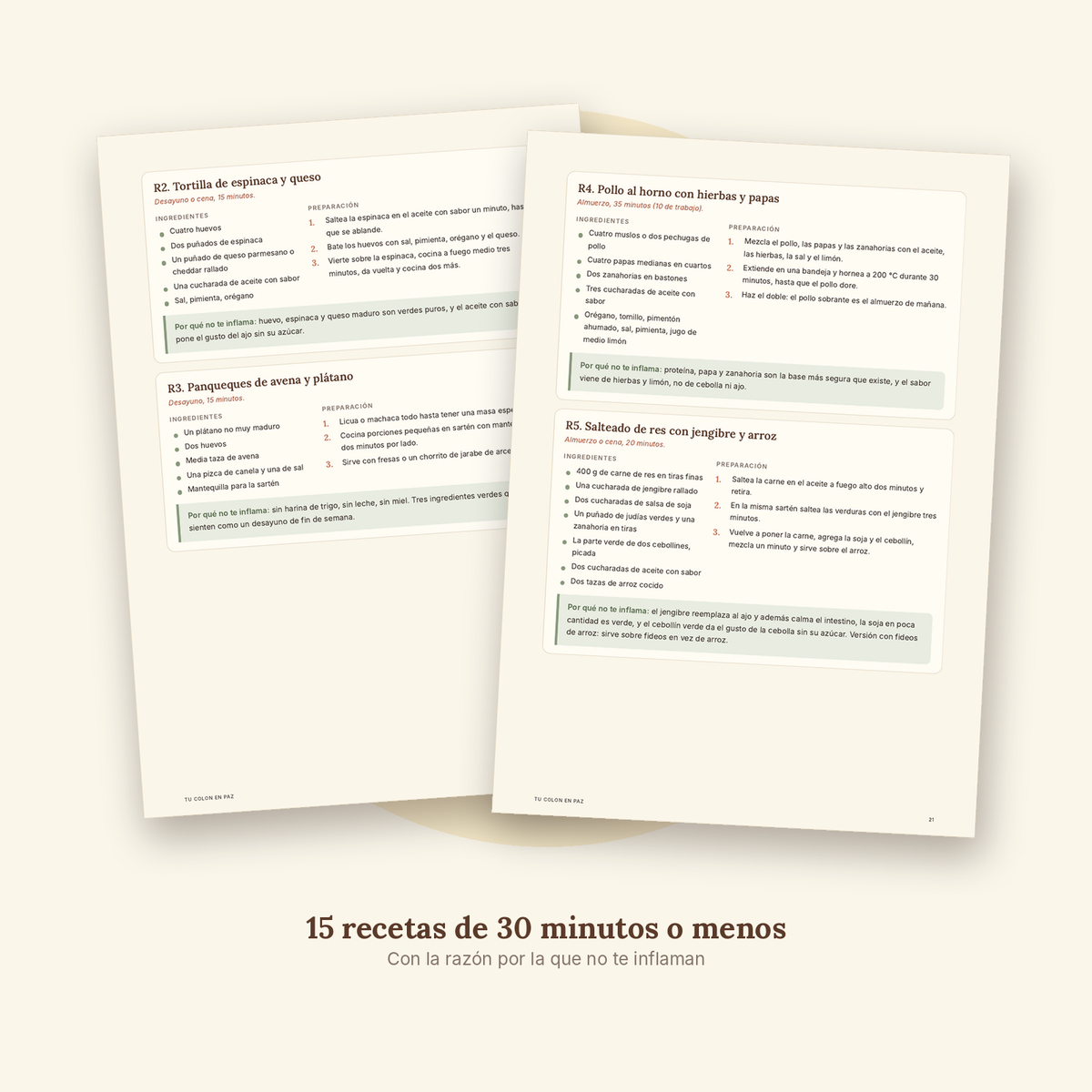 Adiós Hinchazón en 14 Días – Tu colon en paz (Ebook + 3 bonos)